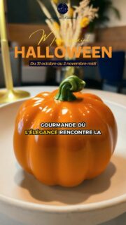 🎃 Halloween s’invite au 10Vins Restaurant

Du 31 octobre au 2 novembre midi, laissez-vous tenter par un menu d’Halloween pensé comme un sortilège gourmand aux saveurs d’automne. 🍂
Une expérience raffinée où chaque assiette révèle une touche de mystère et d’élégance.

✨ Menu 5 temps – 65 €
(Menu 6 temps avec Saint-Jacques – 75 €)

Entrées (au choix)
• Amuse-bouche du Chef – une mise en bouche ensorcelée pour ouvrir le bal des saveurs.
• Gambas rôtie à la pistache, mousse de butternut & gingembre – gambas dorée sous la lune, pistaches croquantes et mousse de butternut envoûtante.
• Foie gras poêlé, ananas caramélisé & brioche dorée – douceur maudite et éclat sucré d’automne.

Plat
• Quasi de veau, fricassée de champignons, pressé de pomme de terre, jus réduit – le charme des sous-bois, entre terre et mystère. 🌕

Desserts
• Granité menthe & citron – souffle glacé du sorcier vert.
• Chou mangue & fruits rouges – cœur sucré des ténèbres, éclats fruités et sortilège fondant.

🍷 Une carte éphémère imaginée pour célébrer l’automne avec délicatesse.

📍 33 Route de la Ferme du Pavillon, Chanteloup-en-Brie
📞 01 60 97 99 57
📧 contact@le10vins.fr

👉 Pour toute information ou réservation, lien en bio.

#le10vinsrestaurant #menuhalloween #halloween2025 #chanteloupenbrie #gastronomiefrançaise #instafood #autumnmenu #accordmetsvins