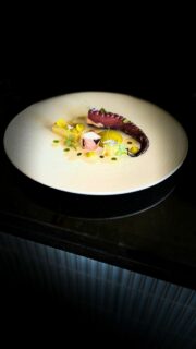 Nouvelle entrée à la carte.
En cuisine, le chef @chef_htun_htun travaille chaque détail avec précision pour révéler toute l’intensité de ce plat.
Poulpe grillé & poireau braisé
Poulpe cuit pendant 8 heures, puis délicatement grillé pour une texture fondante et maîtrisée.
Accompagné d’un poireau braisé et d’une mayonnaise à l’huile de poireau brûlé, aux notes subtilement fumées.
Une assiette équilibrée, pensée pour éveiller les sens.
Pour toute information ou réservation, lien en bio.
#le10vinsrestaurant #poulpegrille #cuisinegastronomique #valdeuropefood #restaurant77