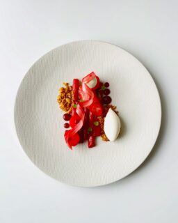 Rhubarbe/ fruits rouges/ glace vanille
L’art de la pâtisserie contemporaine de saisonnalité accompagné d’un vin soigneusement choisis — un contraste entre la sucrosité et l acidité
.
#valdeuroperestaurant #disneylandparis #chanteloupenbrie #gastronomiefrançaise #luxurydining