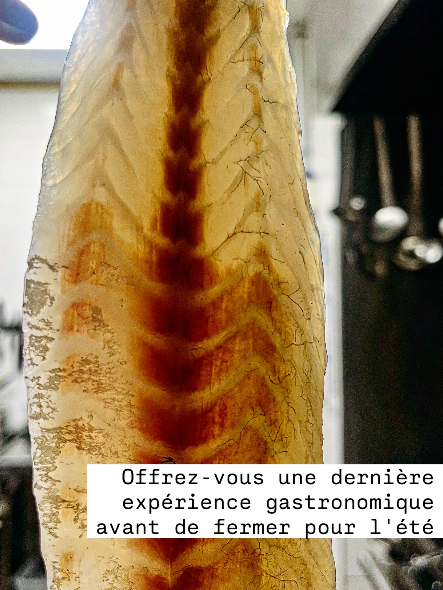 Offrez-vous une dernière expérience gastronomique avant de fermer pour l’été.
Pour célébrer la fin de la saison, nous vous invitons à découvrir un “Menu Carte Blanche” - un voyage culinaire conçu pour surprendre et
ravir.
Sans menu à consulter et sans décisions à prendre, laissez-vous guider par l’inspiration du chef et les meilleurs ingrédients de saison.
Chaque plat est conçu pour raconter une histoire, éveiller les sens et offrir une délicieuse surprise.
Choisissez le format qui convient à votre humeur :
• 3 cours
• 4 cours
Après tout, les expériences culinaires les plus mémorables sont souvent celles que nous n’avons jamais vues venir.
Les réservations sont maintenant ouvertes pour nos dernières dates de service avant les vacances.
.
.
#chanteloupenbrie #valdeurope #disneylandparis #gastronomiefrancaise #luxurydining